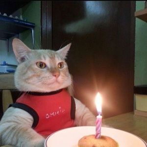 Meet your Posher, Jocelyn